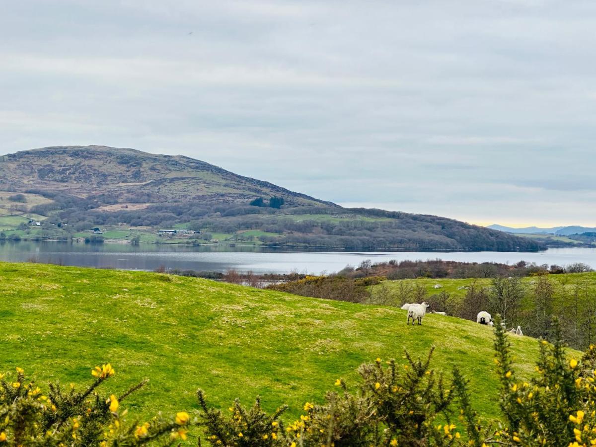 Trawsfynydd Stone Cottage מראה חיצוני תמונה
